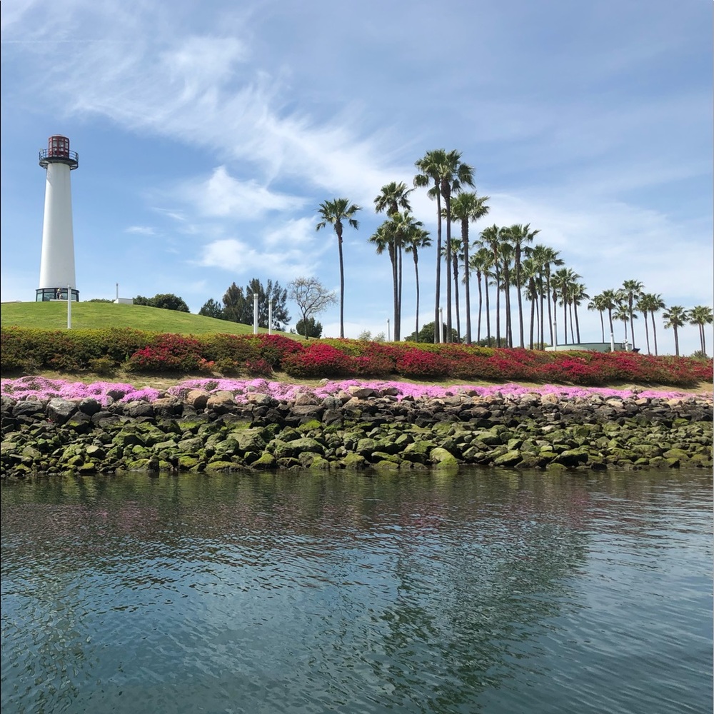 Meet your Posher, Dorothy